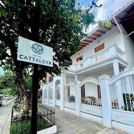 Hotel Cattaleya City Cali Luaran gambar