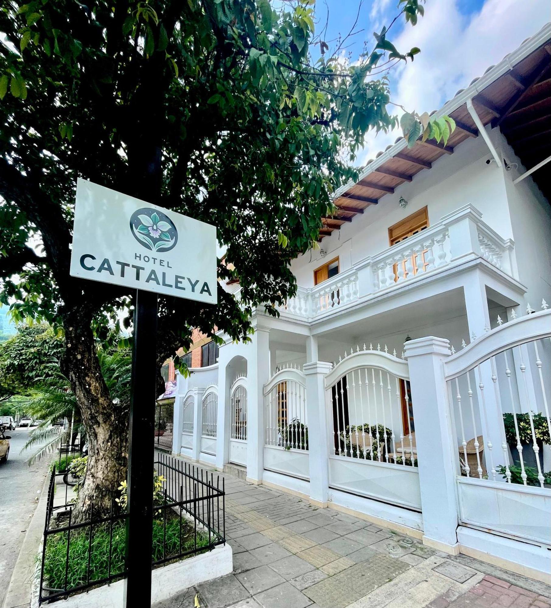Hotel Cattaleya City Cali Luaran gambar